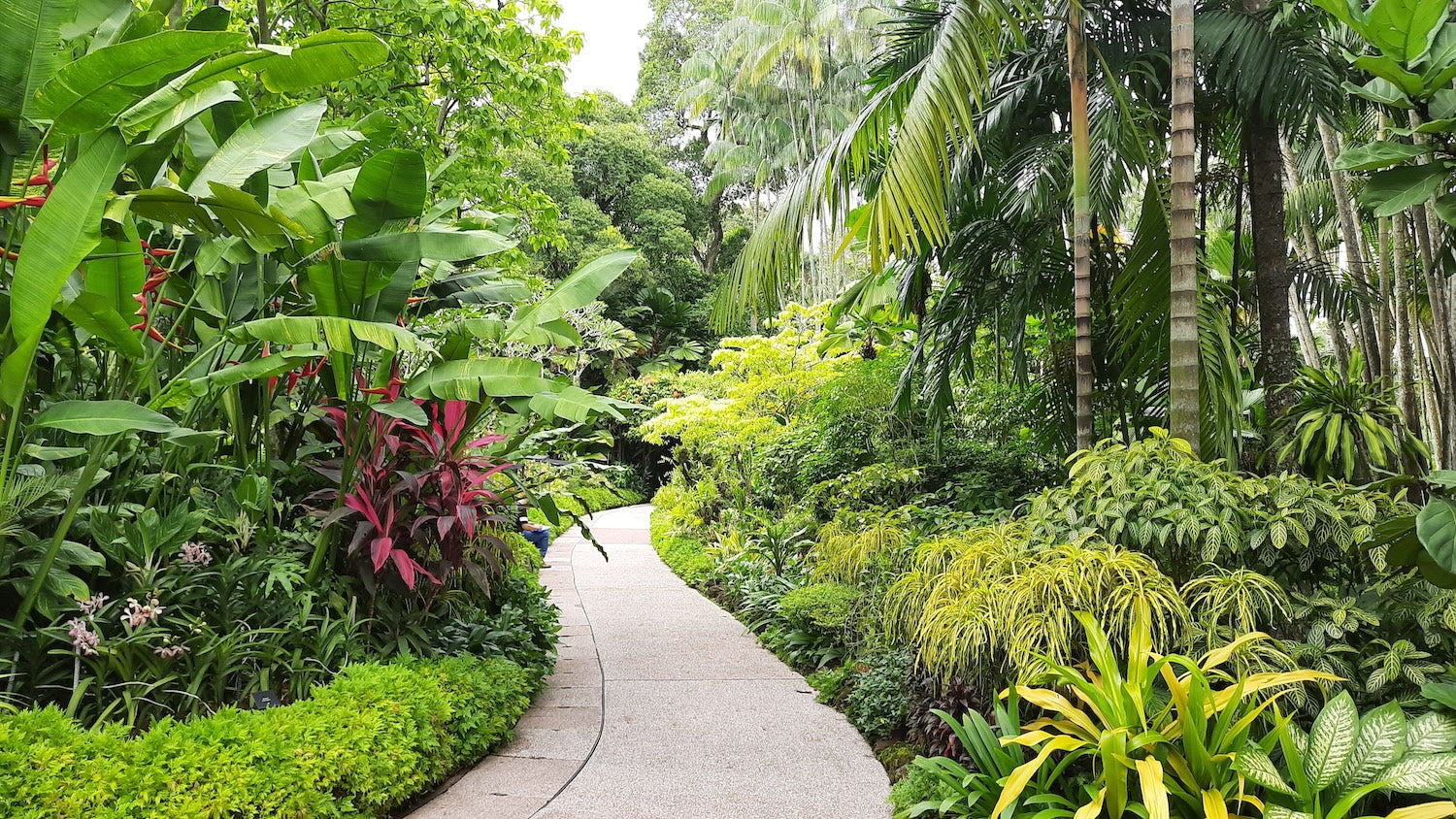 All plants