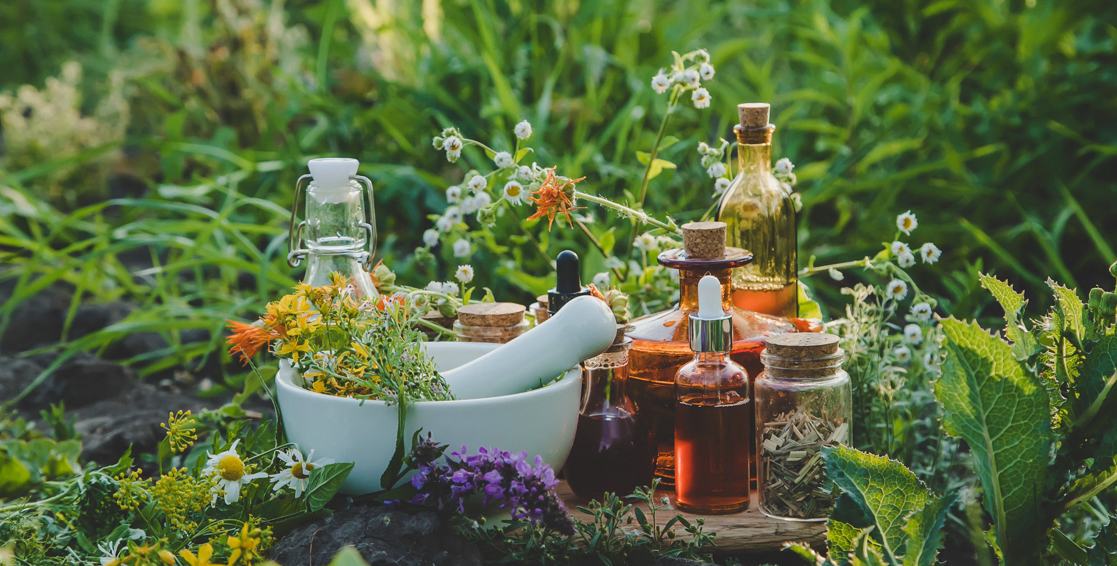 Spices, Teas & Vegetables