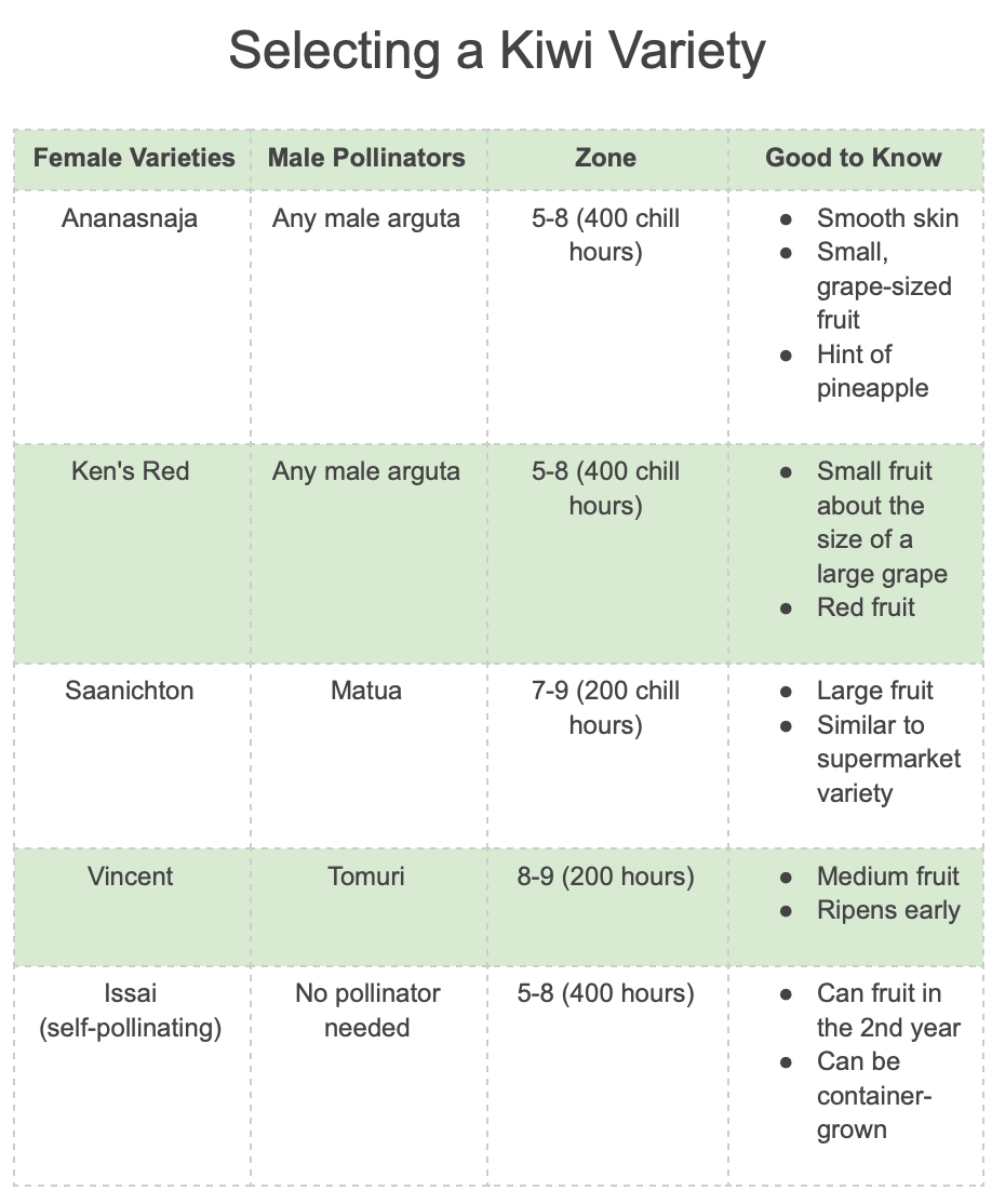 Hardy Male Kiwi - Actinidia arguta