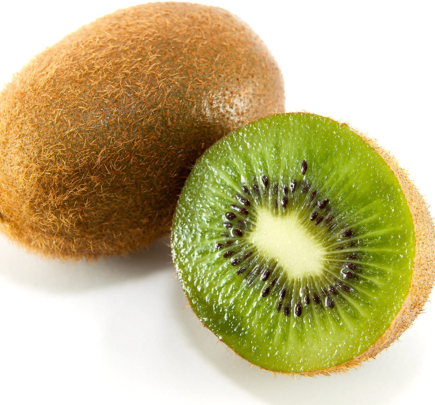 Saanichton Female Kiwi - Actinidia deliciosa