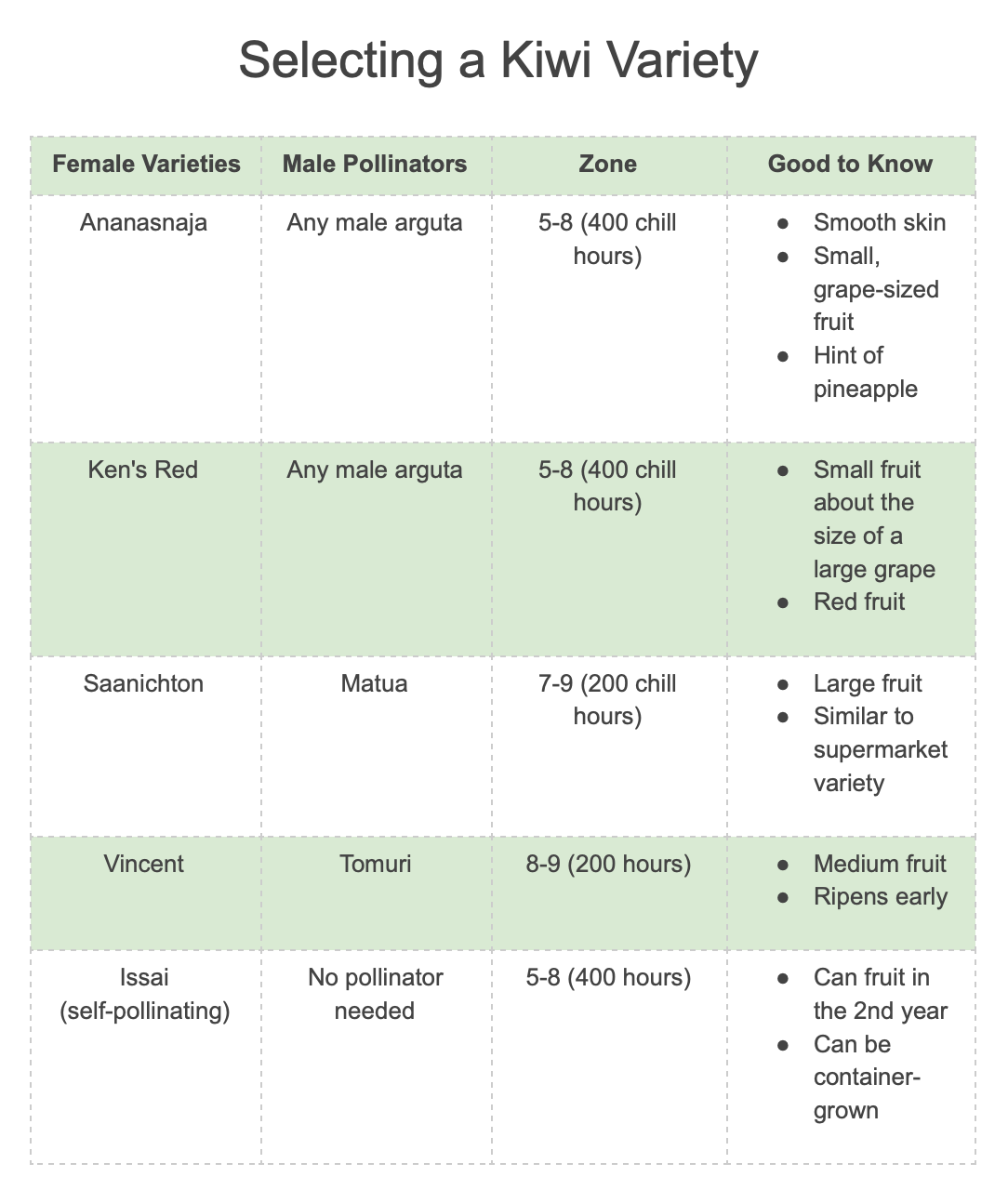 Saanichton Female Kiwi - Actinidia deliciosa