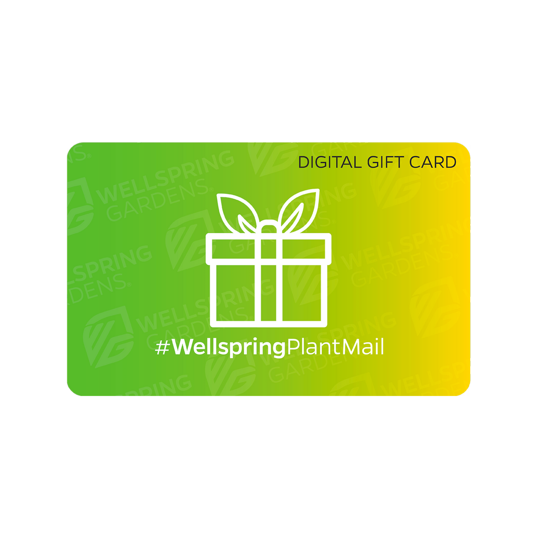 Gift Card ($5-$500)