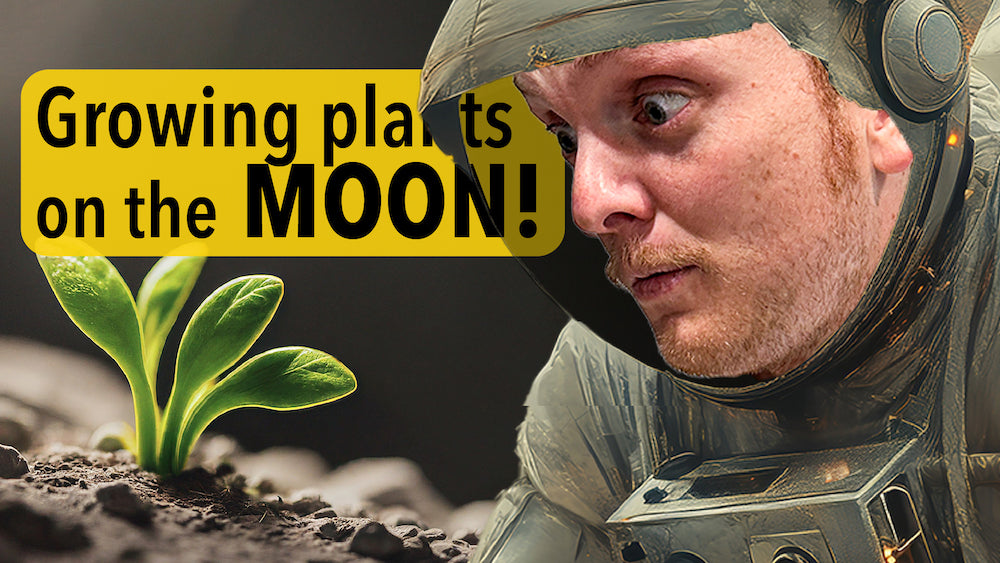 How far are we from growing plants on the moon?