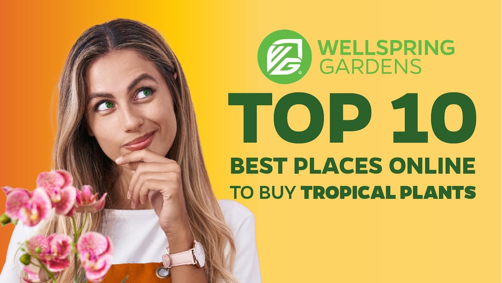 The 10 Best Places Online to Buy Tropical Plants