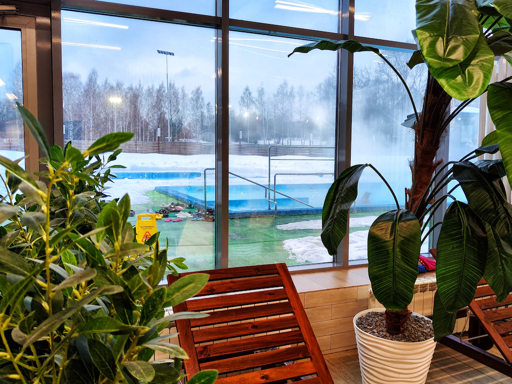 How to keep your tropical plants alive (and thriving!) during a winter storm
