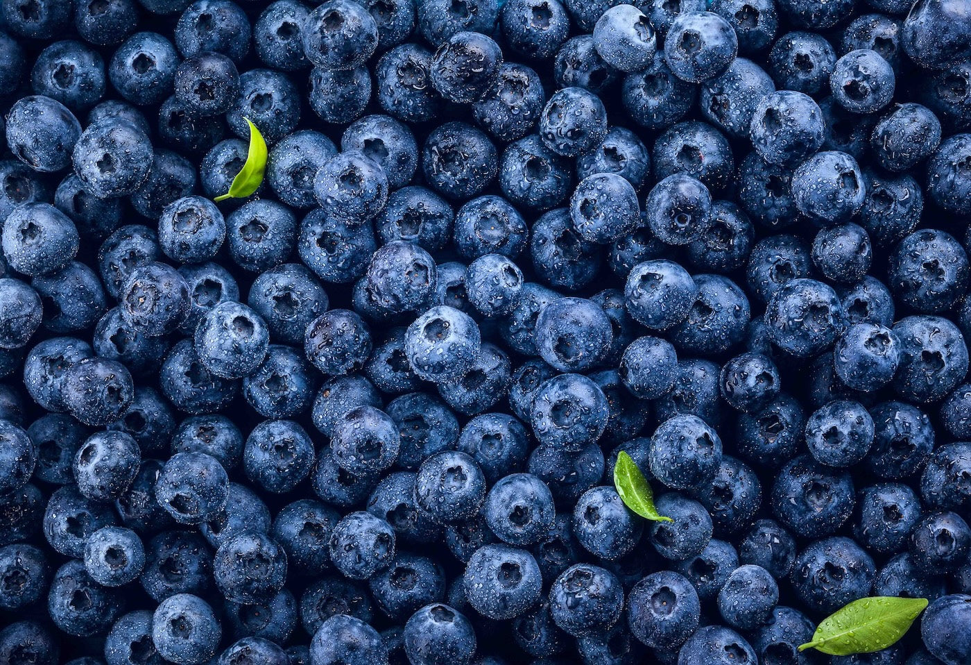 Blueberries