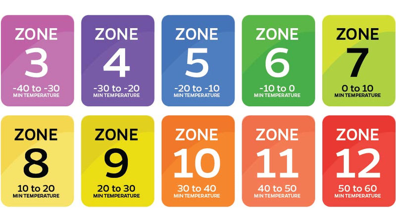 Shop by Zone