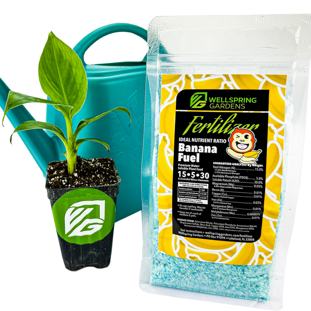 Banana Fuel Plant Fertilizer - Water-Soluble 15-5-30 Blend - (1 or 2 LB bag)