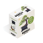 Bonsai Spruce Grow Kit | Planter + Growing medium + Seeds