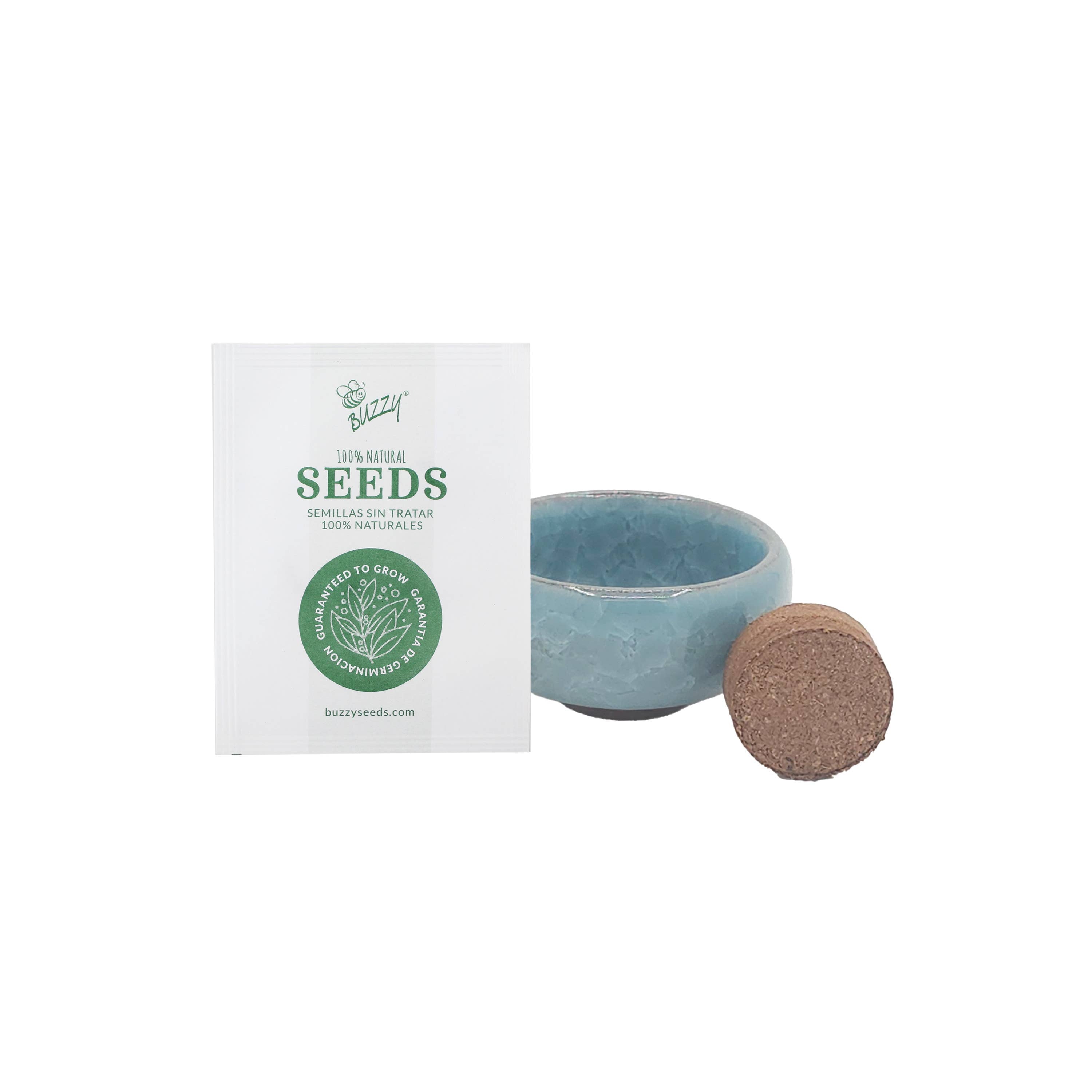 Bonsai Tree Grow Kit | Pot + Growing medium + Seeds