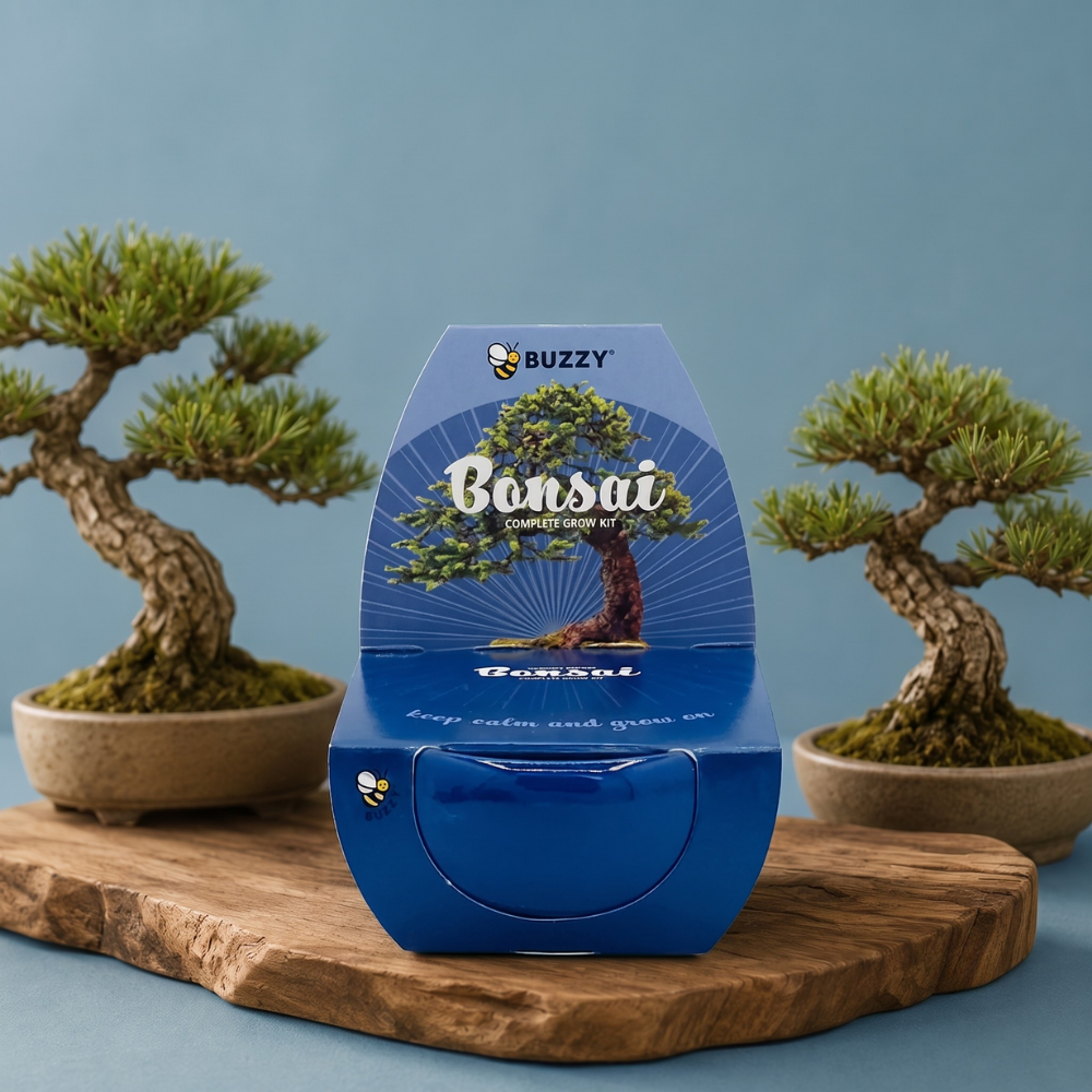 Bonsai Tree Grow Kit | Pot + Growing medium + Seeds