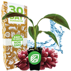 A potted Bordelon Red Ornamental Banana - Musa by Wellspring Gardens, with striking green and red-purple leaves, is displayed before a brown box marked "30 Day Guarantee" and "Easy to Grow, Non-GMO," surrounded by water splashes and pink fruit.