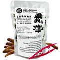 Larvae - Carnivorous Plant Food, 1 OZ