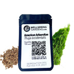 American Arborvitae Tree Seeds (Thuja occidentalis) - Pack of 100 or 1,000