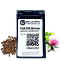 Pink Silk Mimosa Plant Seeds (Albizia julibrissin) - Pack of 30