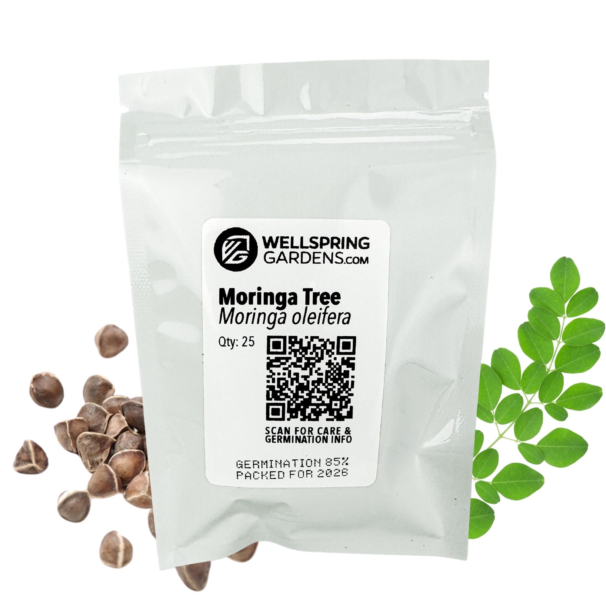 Moringa Tree Seeds (Moringa oleifera) - Pack of 25