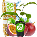 A Wellspring Gardens Panama Red Passion Fruit (Passiflora edulis) potted plant sits in front of fresh passion fruits, one halved to show seeds. Behind them is a box featuring a 30-day guarantee, fruit graphics, and blue water splashes.