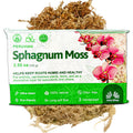 Inka Moss - Sphagnum Moss Plant Potting Soil, 100g—ultra-clean, 100% natural, odor-free, eco-friendly long-fiber moss; ideal for orchids or terrariums. Packaging features orchids and lush moss in the background.