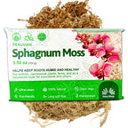 Inka Moss - Sphagnum Moss Plant Potting Soil, 100g—ultra-clean, 100% natural, odor-free, eco-friendly long-fiber moss; ideal for orchids or terrariums. Packaging features orchids and lush moss in the background.