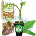 A young Basjoo Banana (Ornamental) - Musa by Wellspring Gardens sits in a black pot with a green label; behind it are a "30 Day Guarantee" box, a peeled banana flower, lush green leaves, and a water splash.