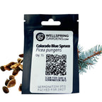 Colorado Blue Spruce Tree Seeds (Picea pungens) - Pack of 15