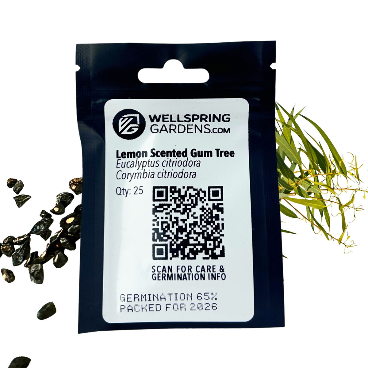 Lemon-Scented Gum Tree Seeds (Eucalyptus Citriodora / Corymbia citriodora) - Pack of 25
