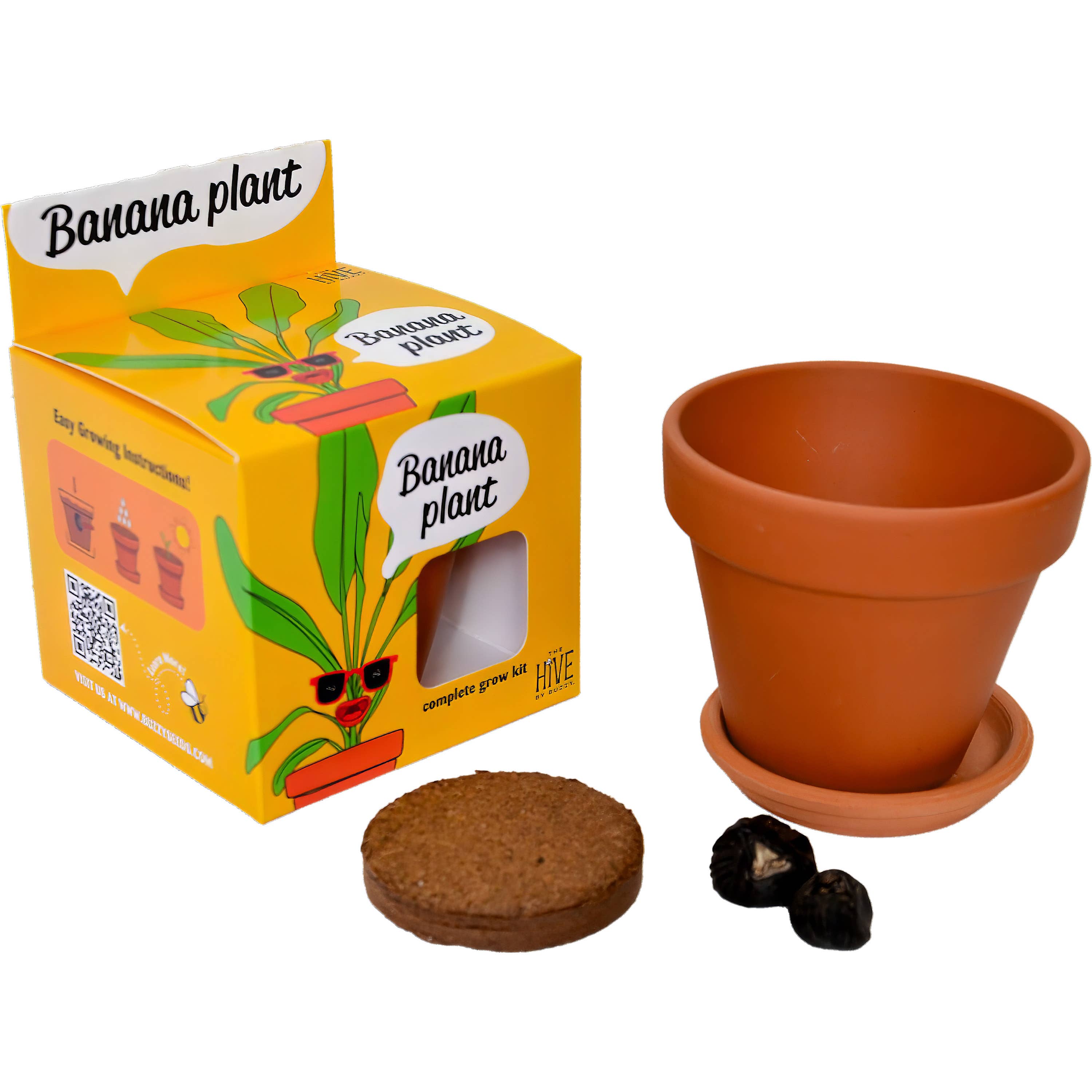 Banana Plant Grow Kit | Growing medium + Pot + Seeds