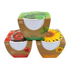Indoor Growing Kit | Tomato, Basil or Sunflower | Ceramic pot + Growing medium + Seeds