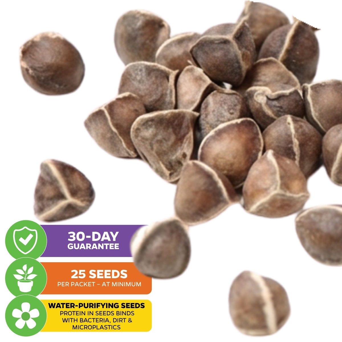 Moringa Tree Seeds (Moringa oleifera) - Pack of 25