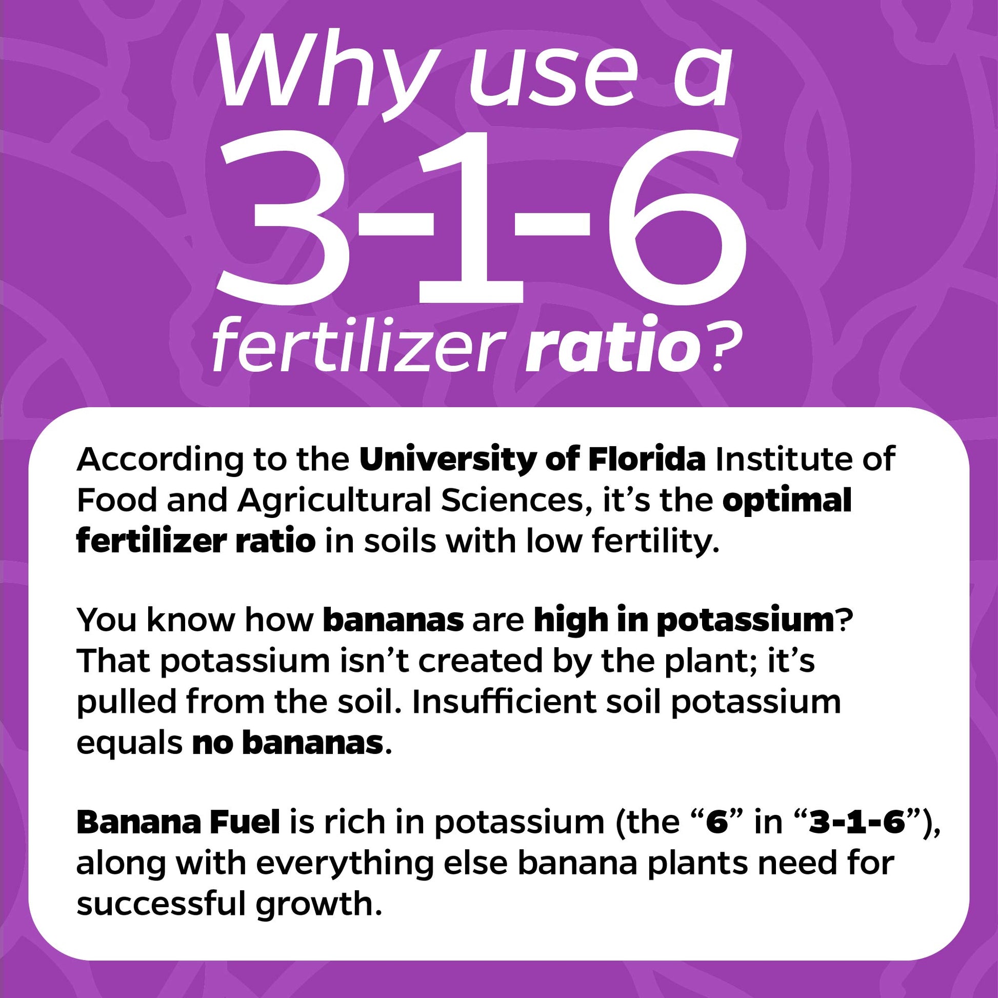Liquid Banana Fuel Fertilizer (32 FL OZ)