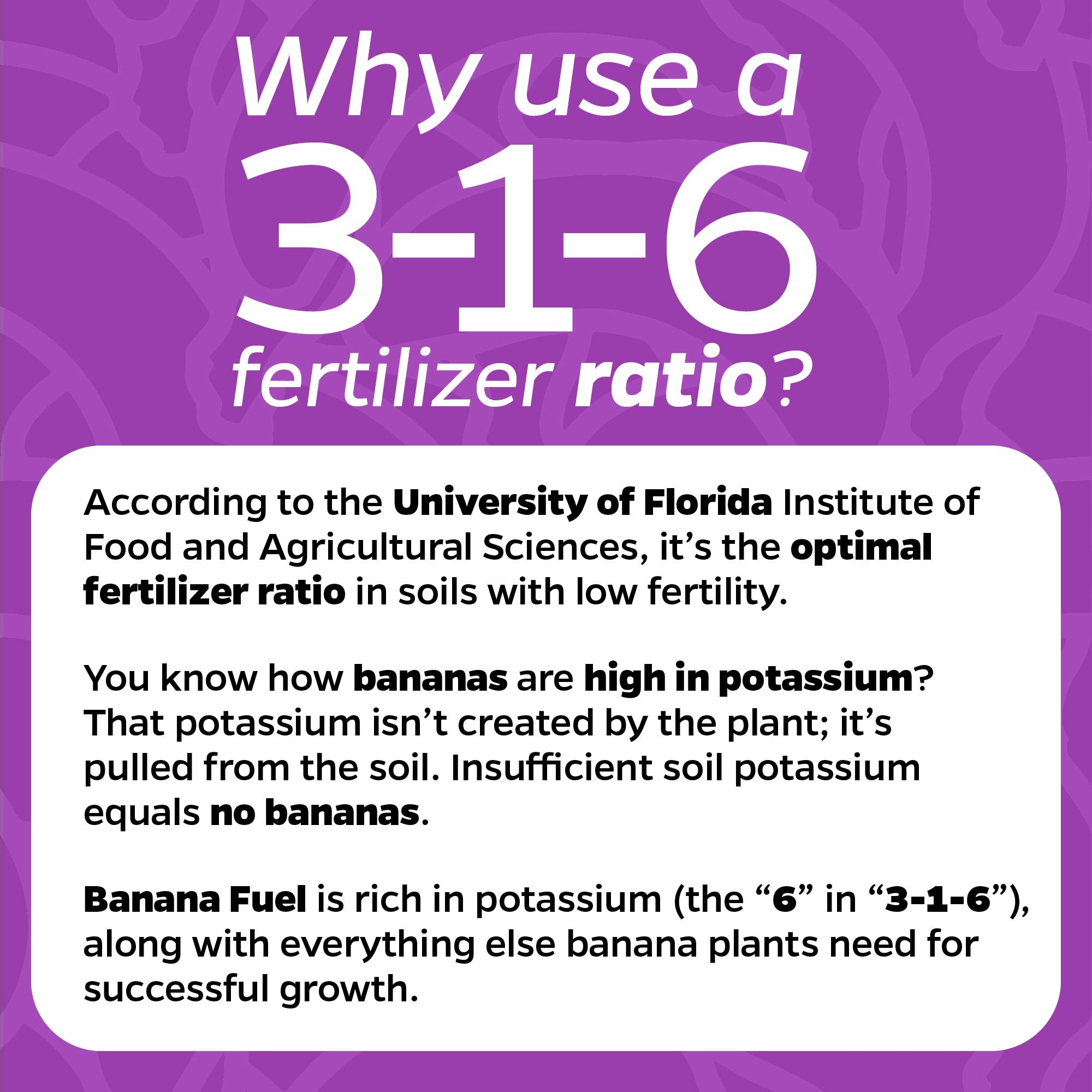 Liquid Banana Fuel Fertilizer (32 FL OZ)