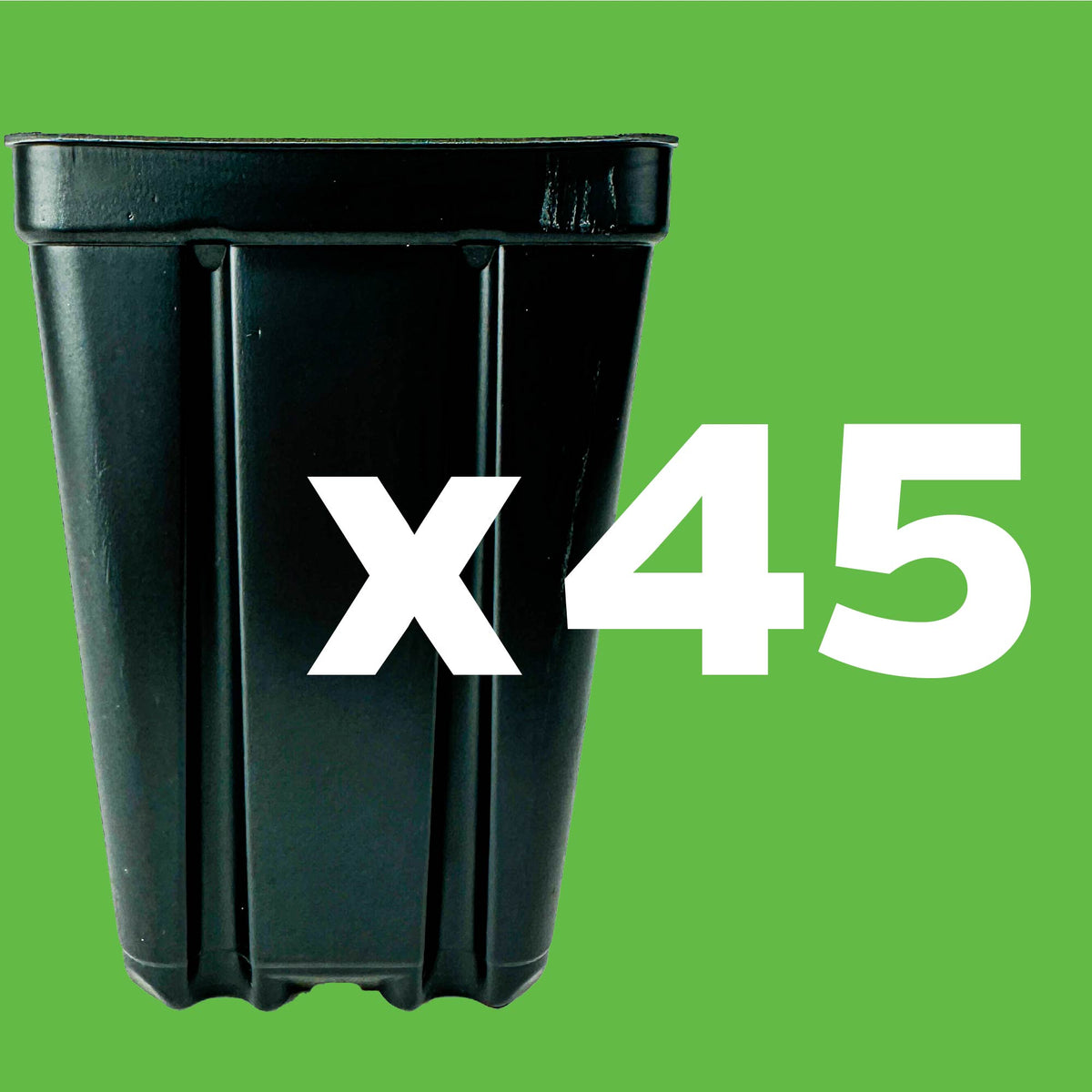 1-Quart Square Plastic Nursery Pots (45 Pack)