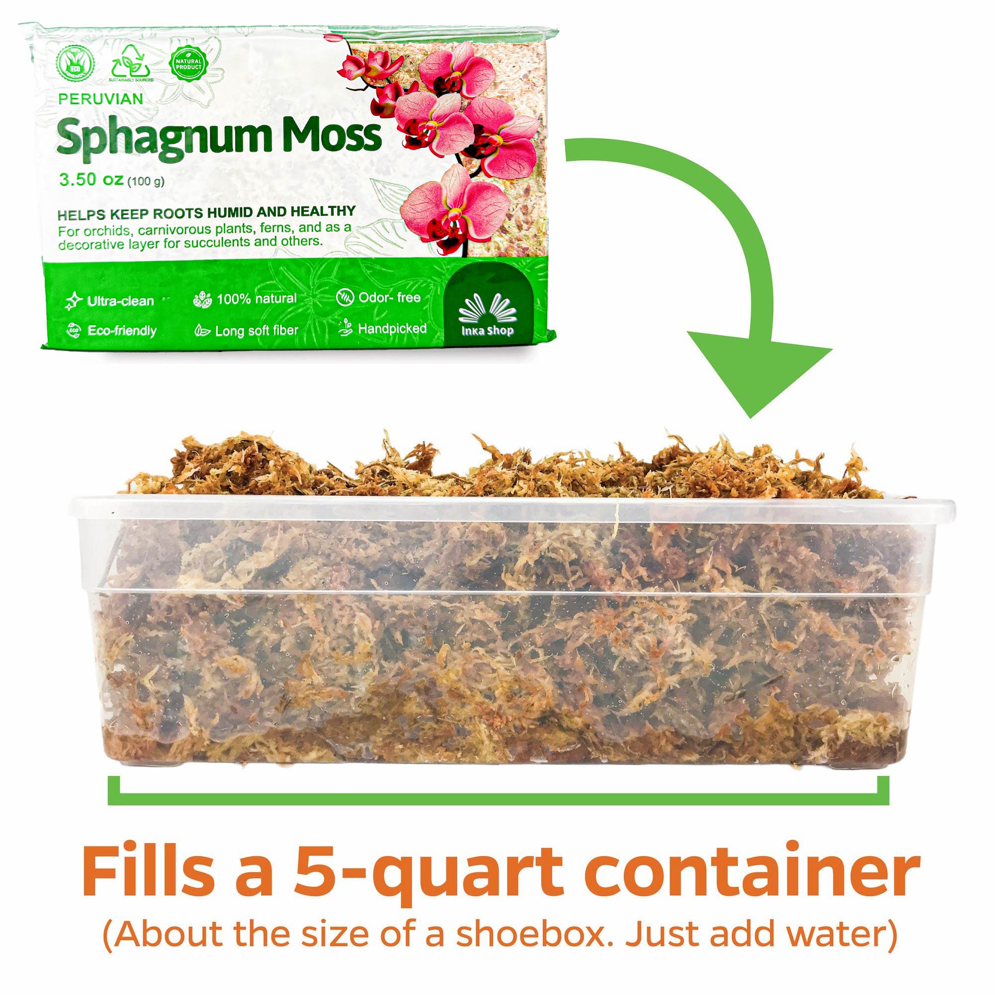 A 100g pack of Inka Moss Sphagnum Moss Plant Potting Soil is shown above a clear container with hydrated moss. One pack fills a 5-quart, shoebox-sized container—ideal for orchids and terrariums.