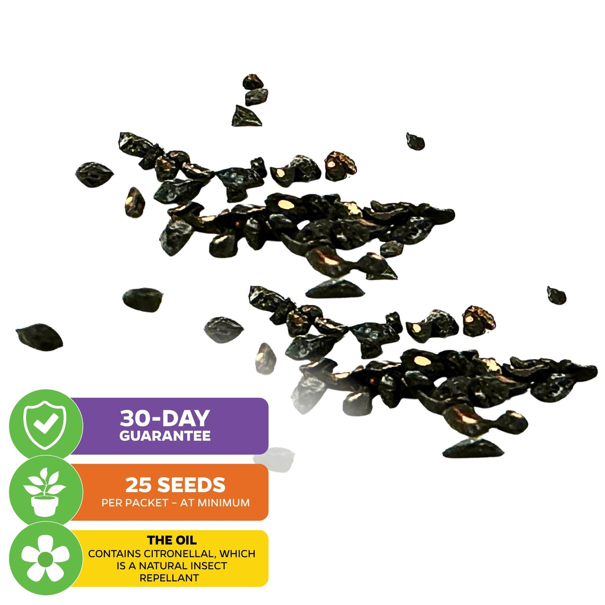 Lemon-Scented Gum Tree Seeds (Eucalyptus Citriodora / Corymbia citriodora) - Pack of 25