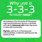 Liquid Fig Fuel Fertilizer (32 FL OZ)