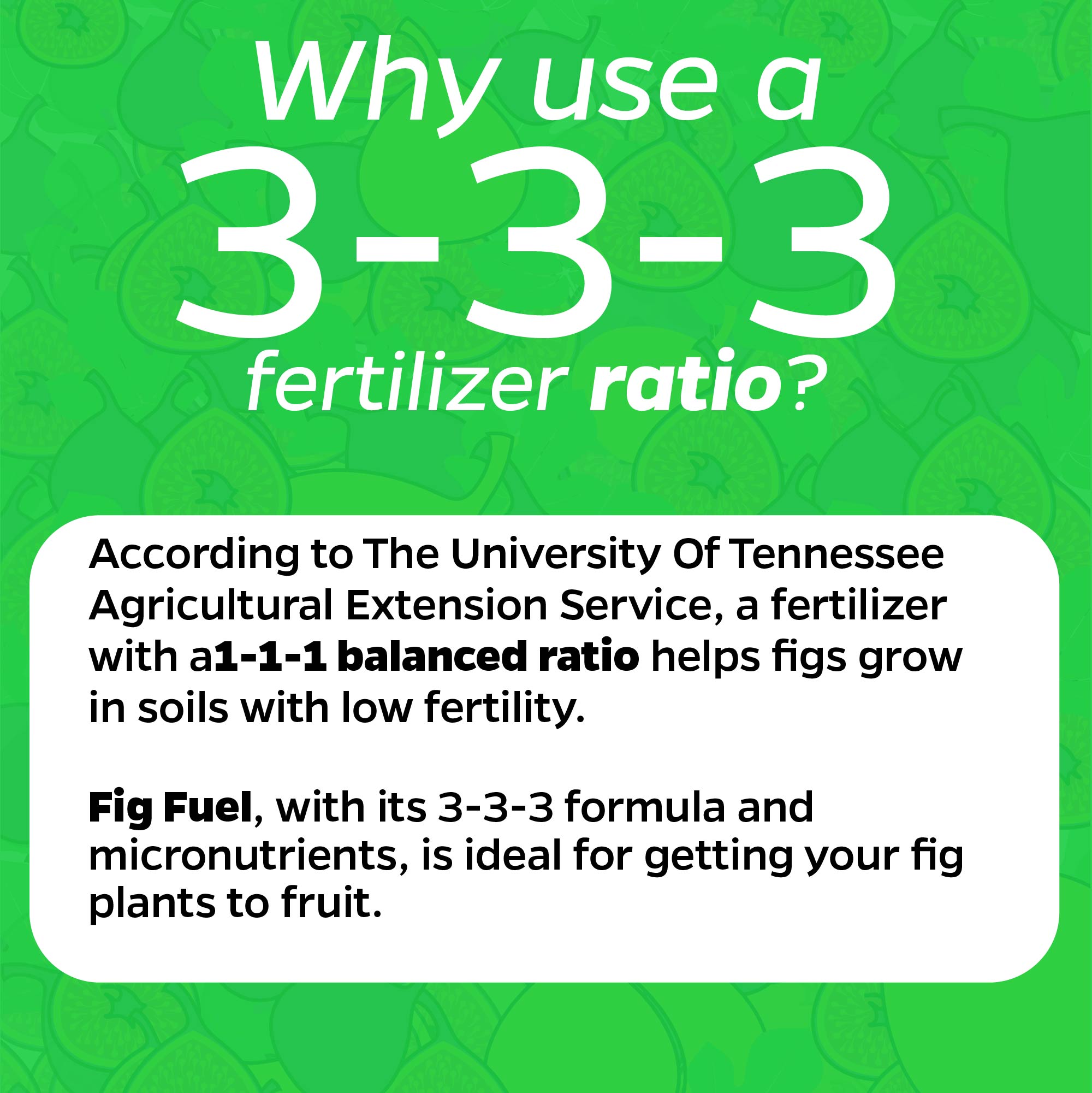 Liquid Fig Fuel Fertilizer (32 FL OZ)