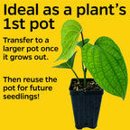 Starter Square Plastic Nursery Pots (100 Pack)