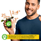 A smiling man holds a Wellspring Gardens Venus Fly Trap (Dionaea muscipula), a unique carnivorous plant. Pot: 2" wide, 3" high; plant height 1-4". Plant size varies by growing time and season.