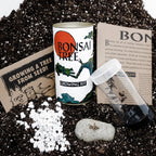 Japanese Bonsai Grow Kit