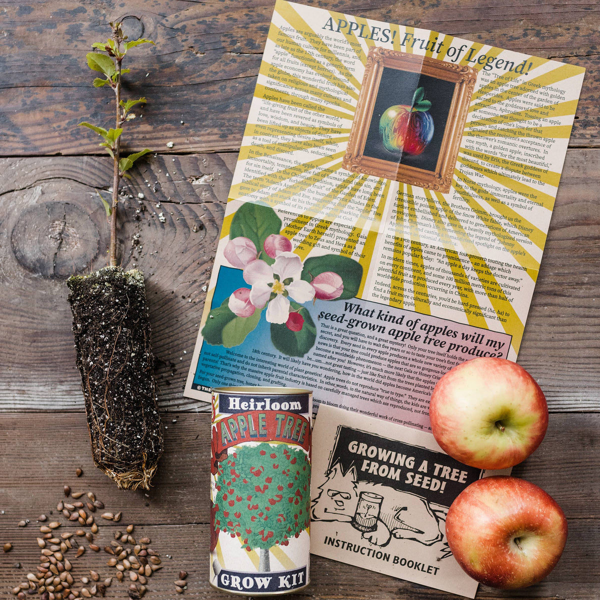 Heirloom apple grow kit with seedling, seeds, and instruction booklet on a wooden surface.