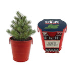 Christmas Tree Grow Kit | Growing medium + Pail + Spruce seed packet