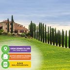 A scenic countryside features a rustic house and a winding path lined with Wellspring Gardens' Multi-pack (4) Italian Cypress Trees as a privacy screen. Colorful info boxes: USDA Zones 7a-10b, winter growth pause, 1-1-1 fertilizer ratio.