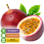 A whole Panama Red Passion Fruit (Passiflora edulis) and half, showing orange pulp and seeds with two green leaves. Icons: USDA zones 8–10, winter dormancy, 20-6-9 fertilizer, butterfly attractor. Wellspring Gardens brand.