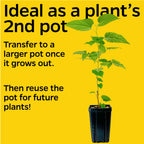 1-Quart Square Plastic Nursery Pots (45 Pack)