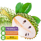 A Soursop 'Guanabana' Tree (Annona muricata) by Wellspring Gardens is shown with white flesh and black seeds, green leaves, and icons for USDA Zones 10-11, winter dormancy, 20-6-9 fertilizer, and anti-carcinogenic benefits.