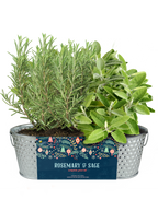 Christmas Herb Grow Kit | Planter + Growing medium + Rosemary & Sage seeds