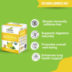 A box of Herbal Goodness Mullein Leaf Tea - Organic Tea Bags (24 Count) sits on a green background. Text notes benefits: boosts immunity, supports digestion, enhances well-being & lung health. Four related icons are shown.