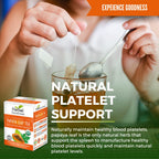 Someone stirs a cup of caffeine-free herbal tea with a tea bag; in the foreground is a box of Herbal Goodness Papaya Leaf Tea - Organic Tea Bags (24 Count), supporting natural platelet health and maintaining healthy blood platelet levels.