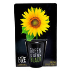 Green is the New Black Sunflower Grow Kit | Painted pot + Growing medium + Seeds