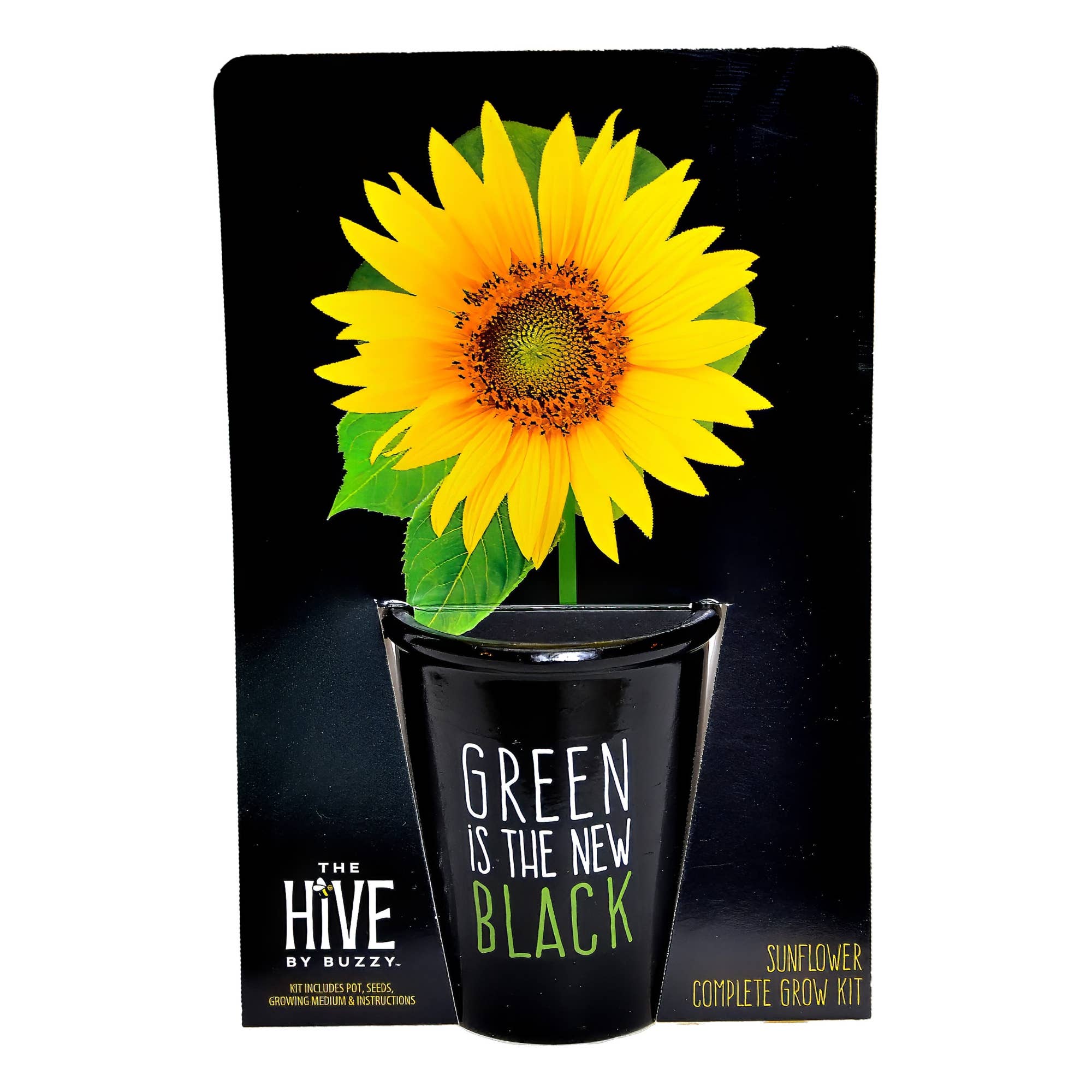Green is the New Black Sunflower Grow Kit | Painted pot + Growing medium + Seeds